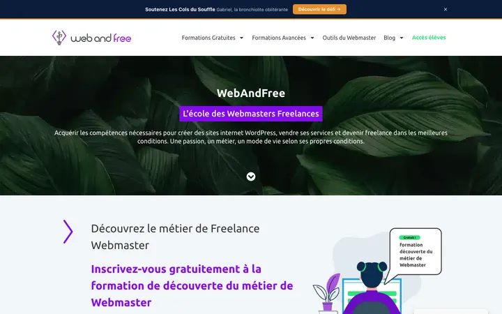 Capture du site WebAndFree