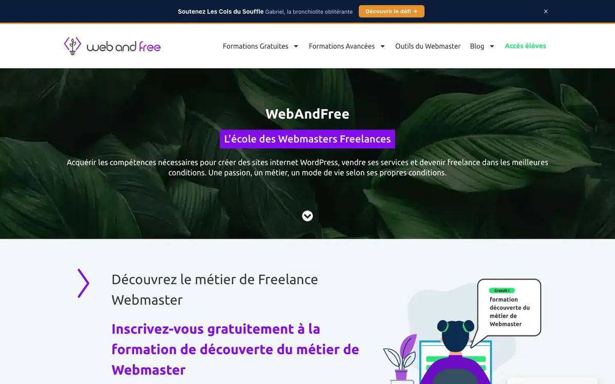 Capture du site WebAndFree